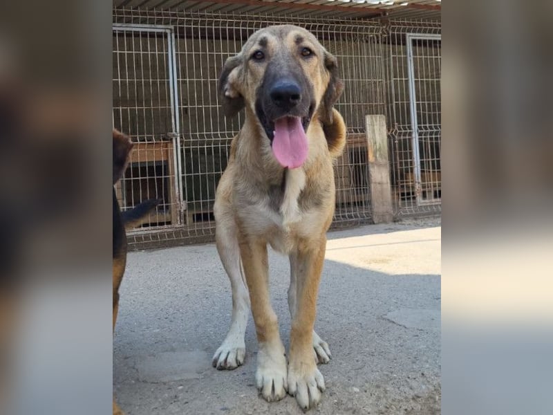 HSH-Mix Miriam ❤️ verspielt, aktiv, sucht dich!