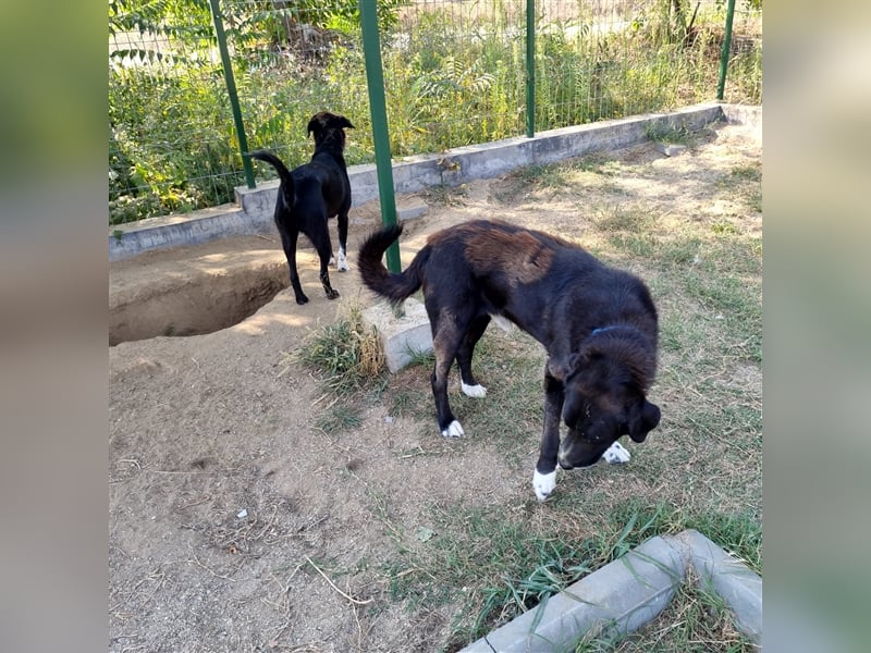 Dyk hält Ausschau nach Dir