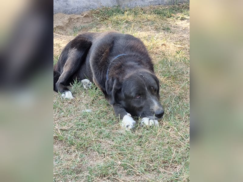 Dyk hält Ausschau nach Dir