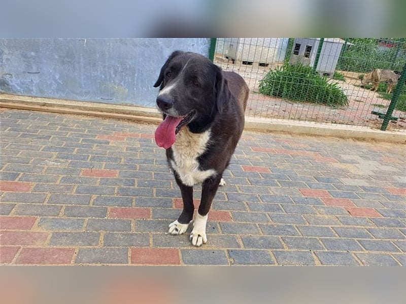 Dyk hält Ausschau nach Dir