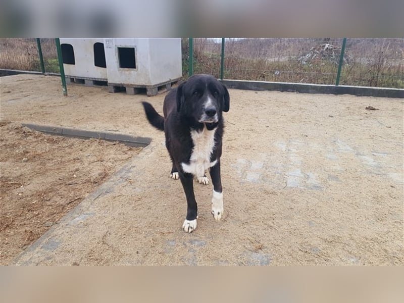 Dyk hält Ausschau nach Dir