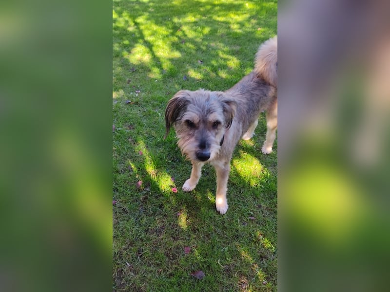 Ein Freund mit Energie sucht sportliche Leute - Alf