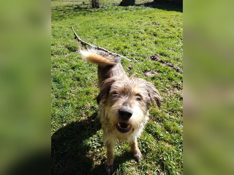 Ein Freund mit Energie sucht sportliche Leute - Alf