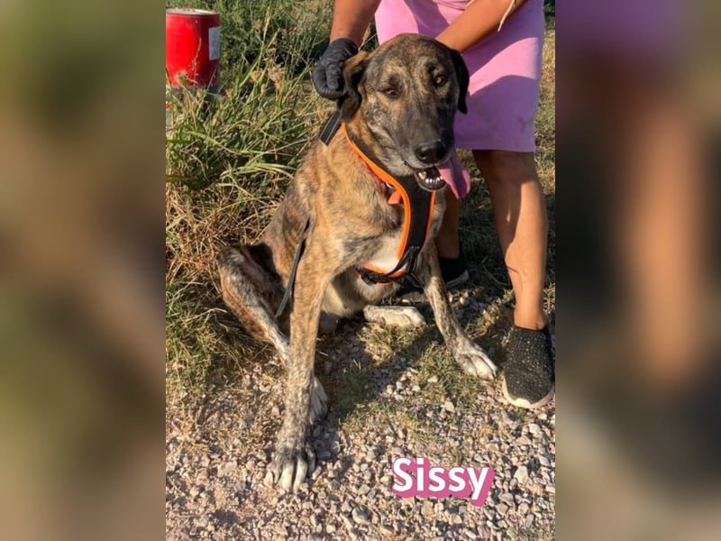 Sissy, 05/24 - schön wie die Namensvetterin