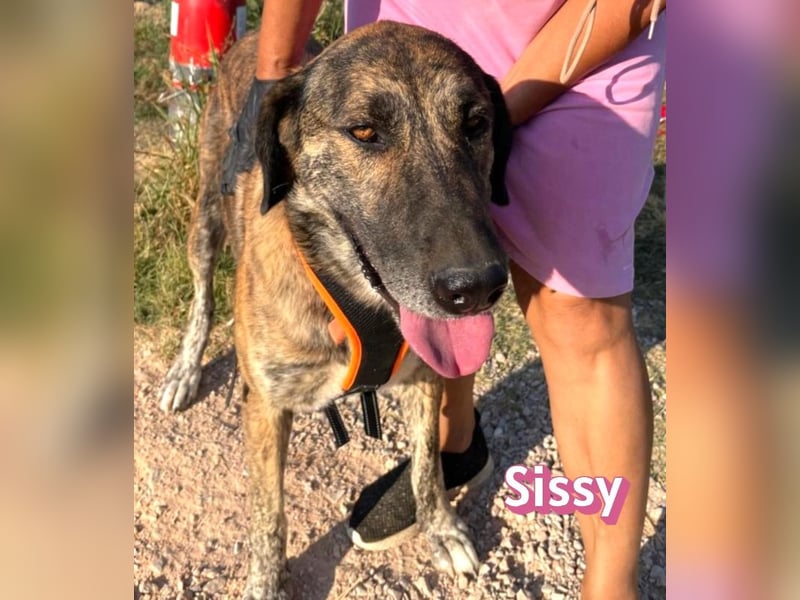 Sissy, 05/24 - schön wie die Namensvetterin