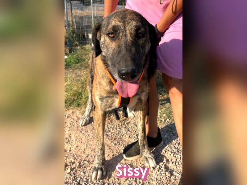 Sissy, 05/24 - schön wie die Namensvetterin