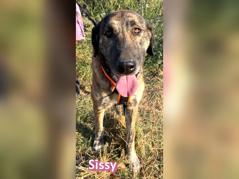 Sissy, 05/24 - schön wie die Namensvetterin