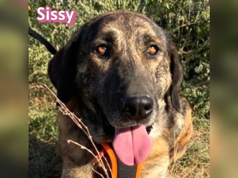 Sissy, 05/24 - schön wie die Namensvetterin