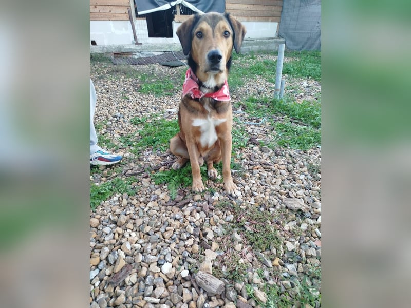 Loco - liebenswert, menschenbezogen und sozial