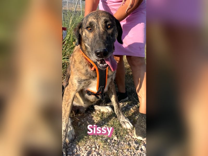 Sissy, 05/24 - schön wie die Namensvetterin