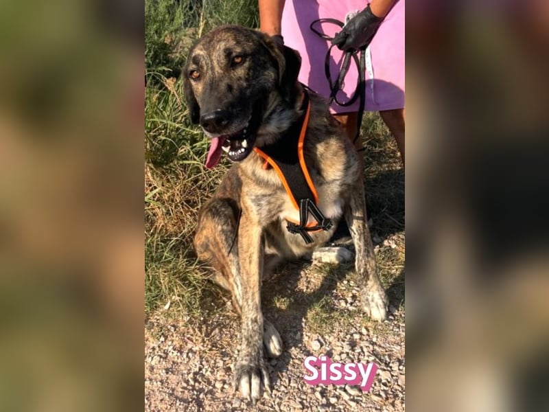 Sissy, 05/24 - schön wie die Namensvetterin