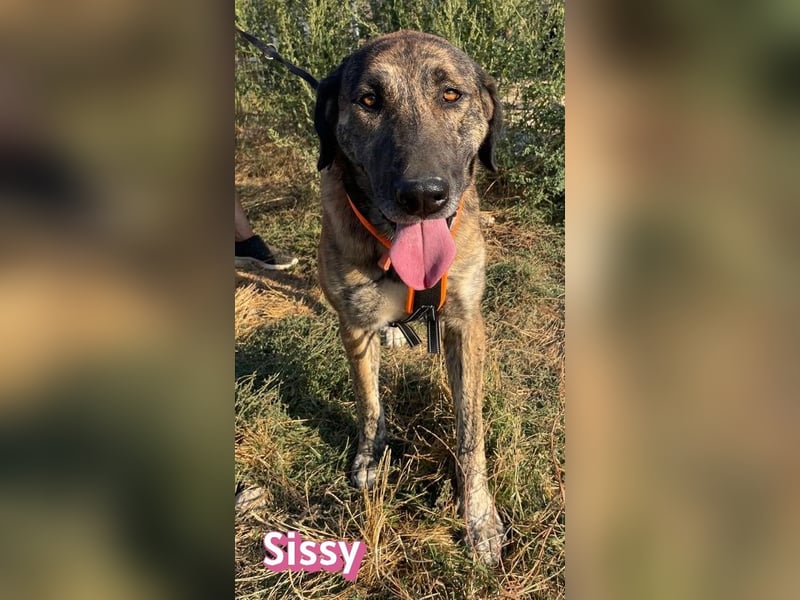 Sissy, 05/24 - schön wie die Namensvetterin