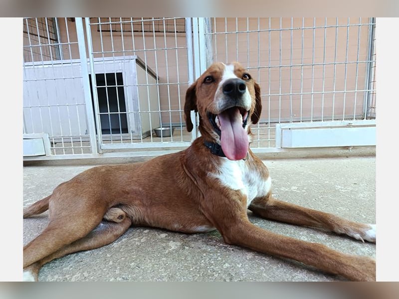 Orson(LR) ein absoluter Goldschatz