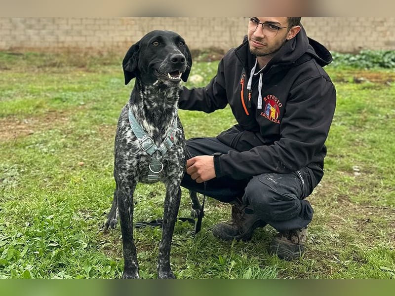 Mika (LR) tolle, verschmuste Fellnase