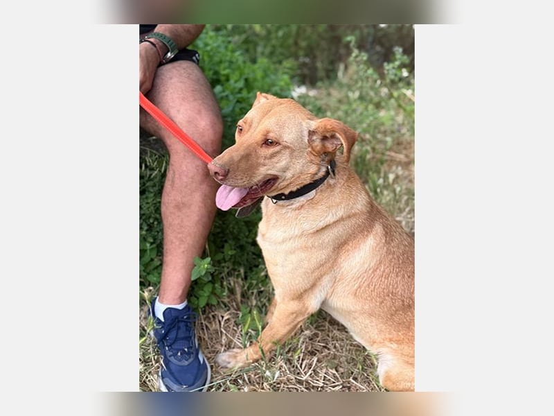 Avion(LR) ein sehr ruhiger aber wahrer Goldschatz