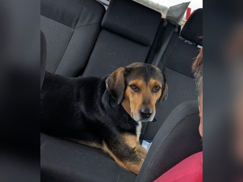 Ivan - wo sind hier die Outdoor-Fans?