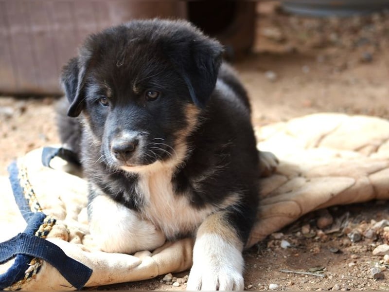 Troufa - wer entdeckt die Welt mit mir?