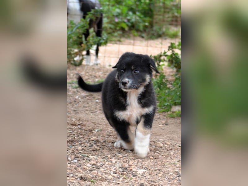 Troufa - wer entdeckt die Welt mit mir?