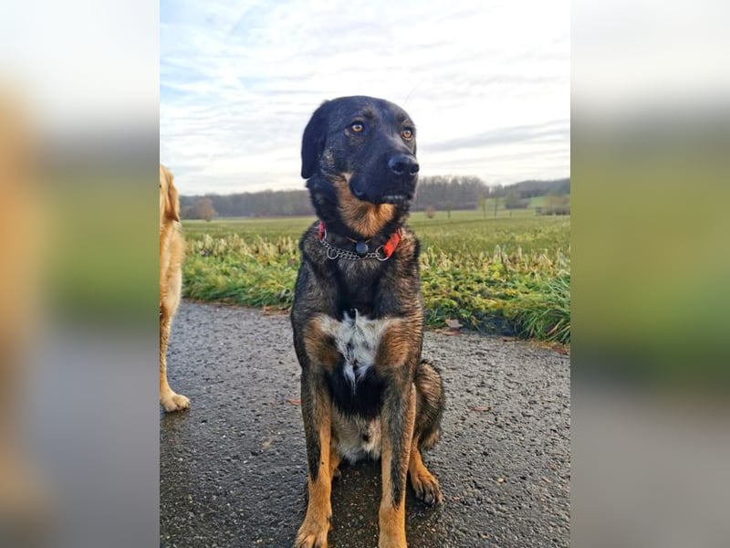 Scooby - er ist einfach verliebenswert. Er lebt, weil seine Mama gerettet wurde.