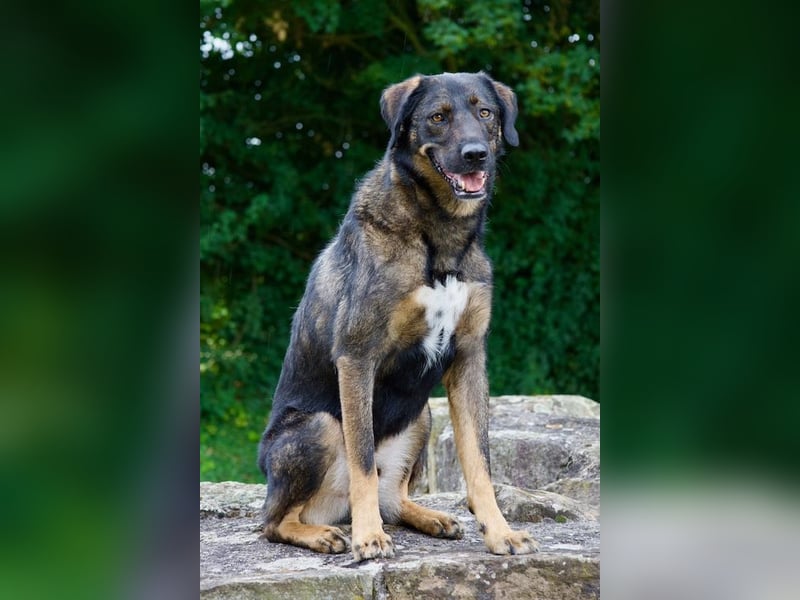 Scooby - er ist einfach verliebenswert. Er lebt, weil seine Mama gerettet wurde.