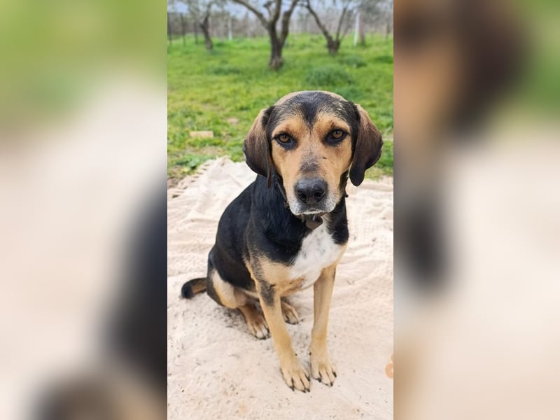 Ivan - wo sind hier die Outdoor-Fans?