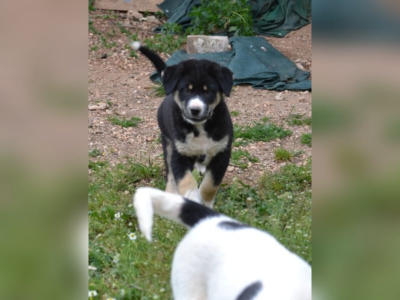 Lucky Luke - wo mag mein Weg mich hinführen? Zu Dir?