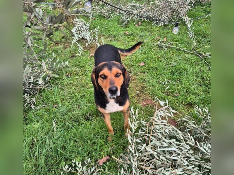 Ivan - wo sind hier die Outdoor-Fans?