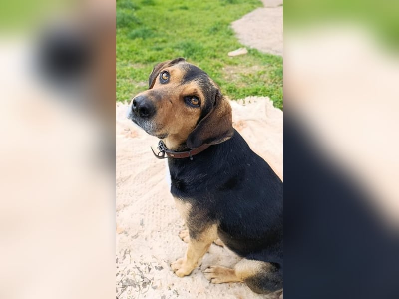 Ivan - wo sind hier die Outdoor-Fans?