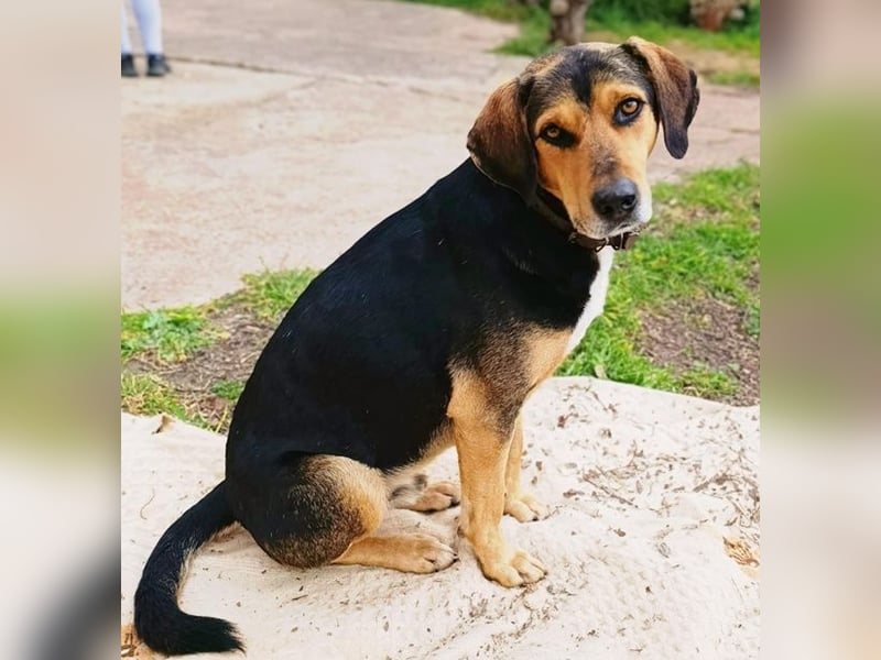 Ivan - wo sind hier die Outdoor-Fans?