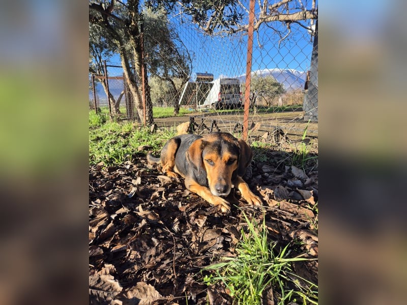 Ivan - wo sind hier die Outdoor-Fans?