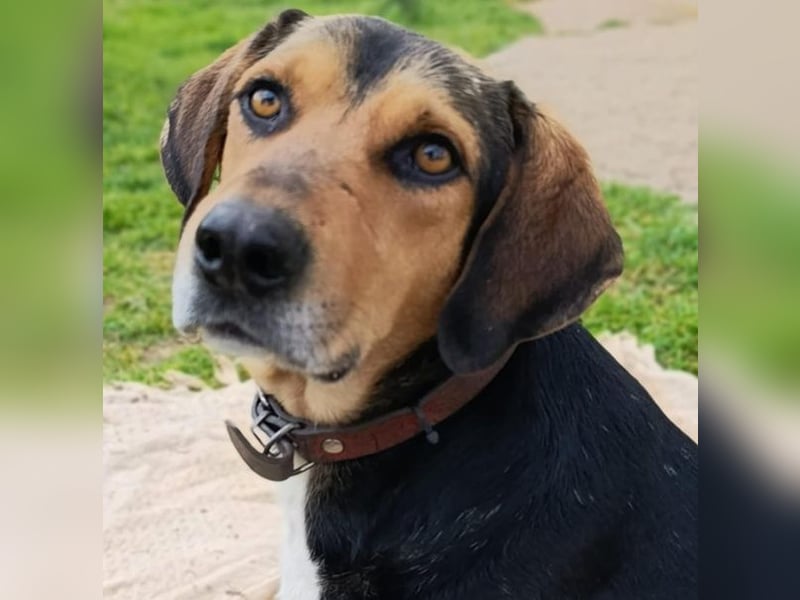 Ivan - wo sind hier die Outdoor-Fans?