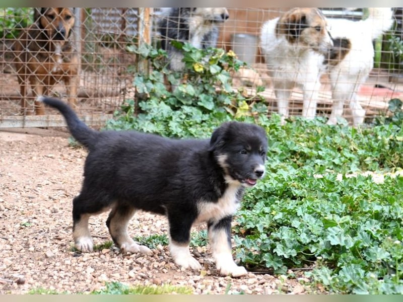 Troufa - wer entdeckt die Welt mit mir?