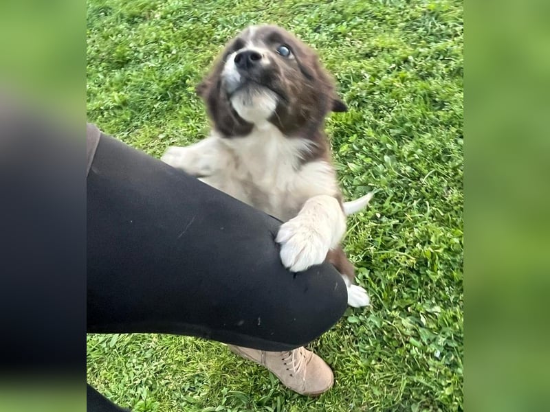 Dush - eines unserer Regenbabys