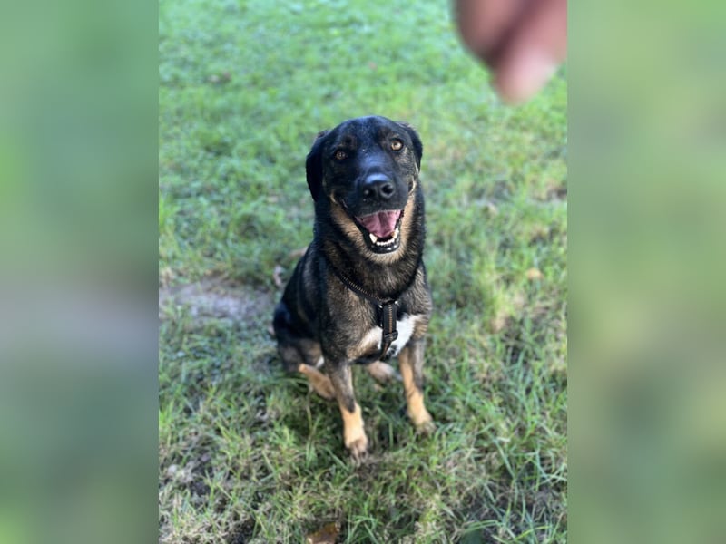 Scooby - er ist einfach verliebenswert. Er lebt, weil seine Mama gerettet wurde.