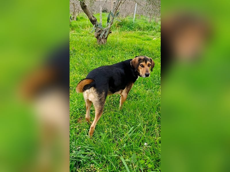 Ivan - wo sind hier die Outdoor-Fans?