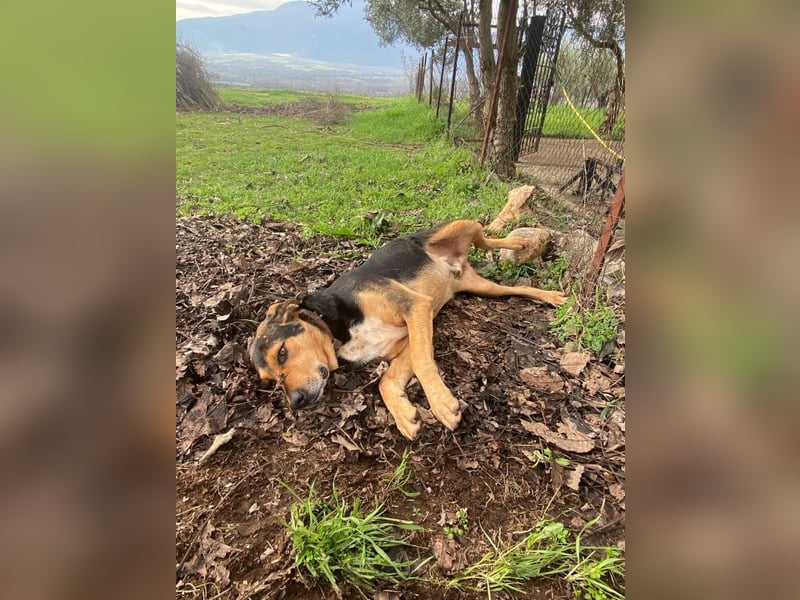 Ivan - wo sind hier die Outdoor-Fans?