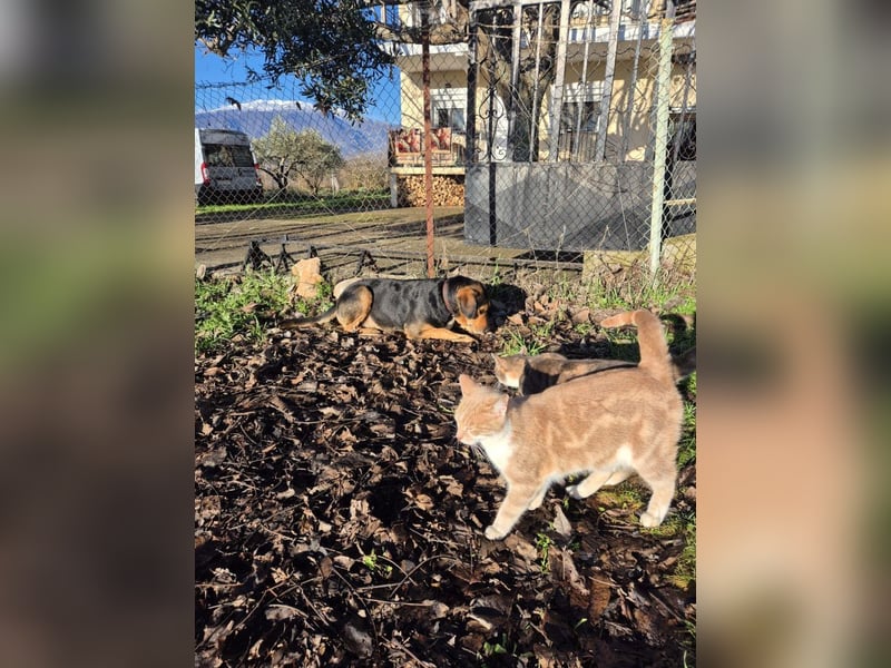 Ivan - wo sind hier die Outdoor-Fans?