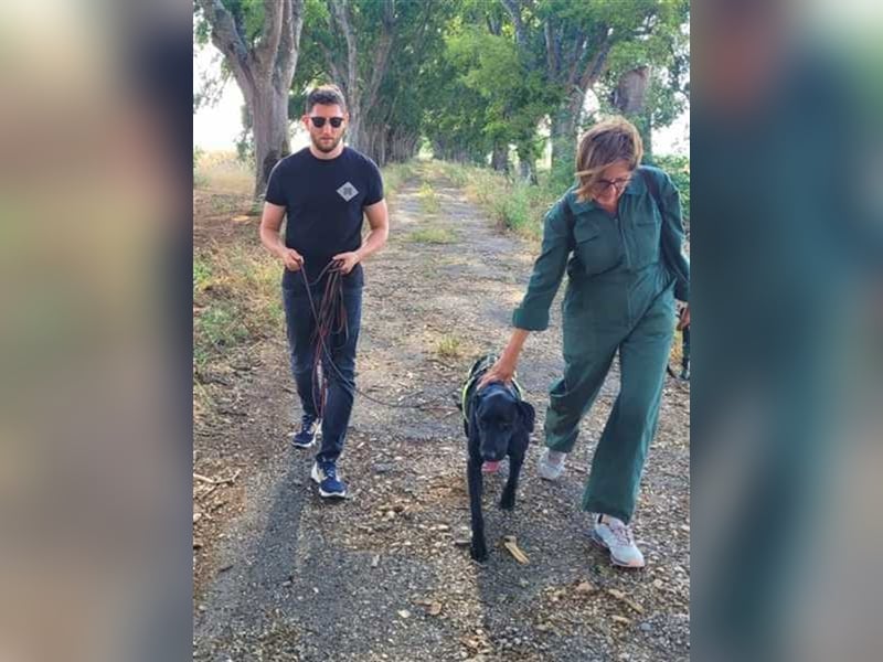 Scott, der eigenwillige