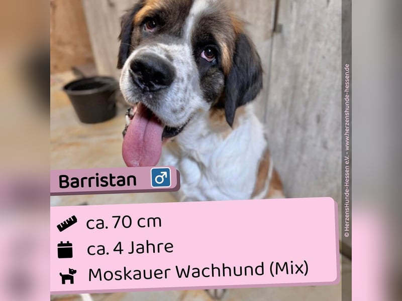 Barristan