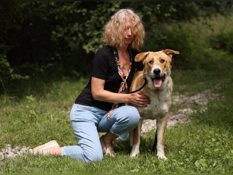 Balu – ein junger Teddybär mit großem Herz sucht seine Menschen