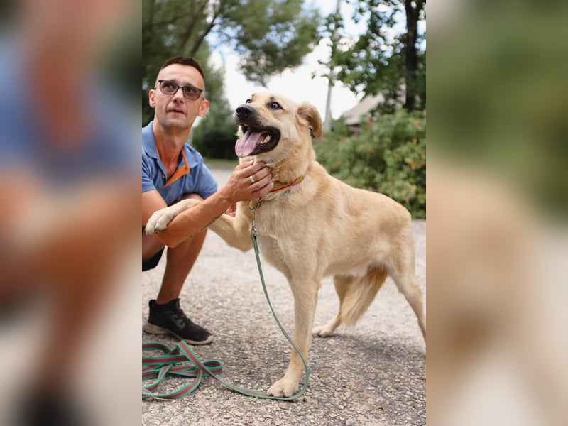 ROBIN, geb. 10/2020, Pflegestelle oder Endstelle gesucht!