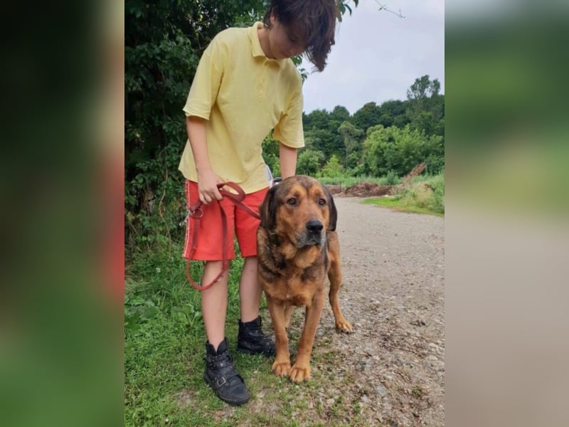 ●FAXE● [ 5 Jahre, 75 cm ]