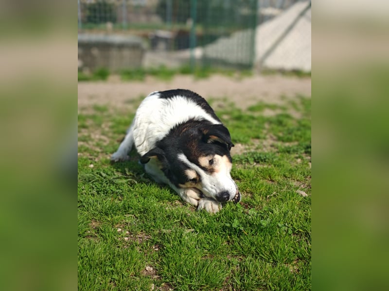 Giangy - Ich hätte da noch Kapazitäten frei