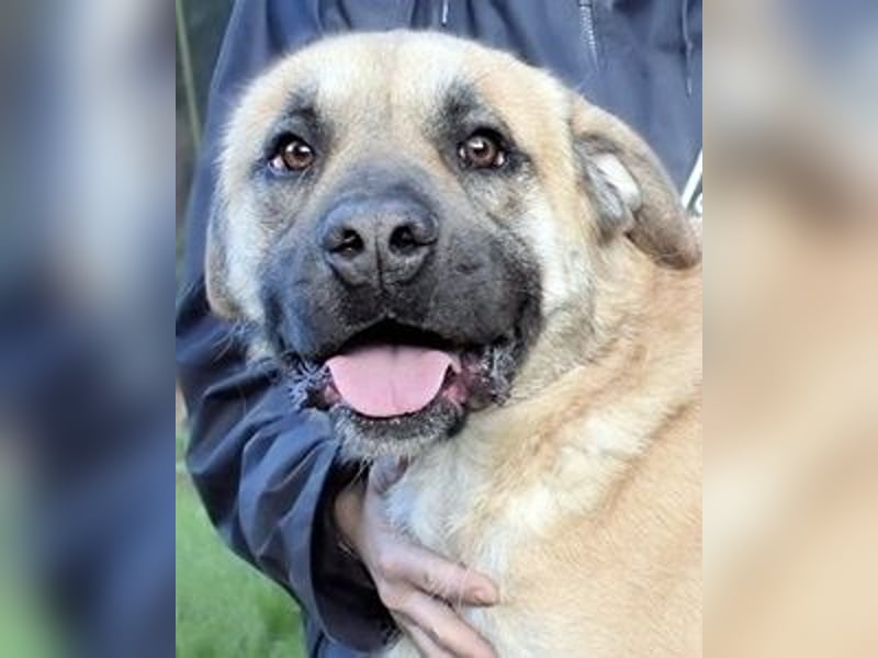 Joonas - wohin führt sein Weg?