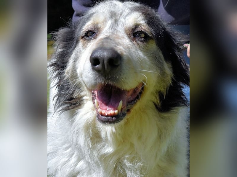 Daiana - der Beginn einer wunderbaren Freundschaft