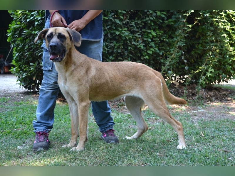 Adhara - Möchte ihre Energie versprühen