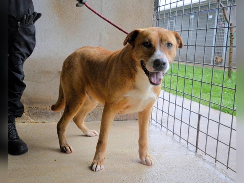 Spielberg - Der Dreh seines Lebens Spielberg - Der Dreh seines Lebens