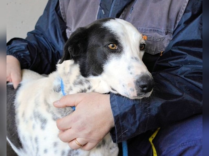 Arleene - Fachkraft für Betonpädagogik