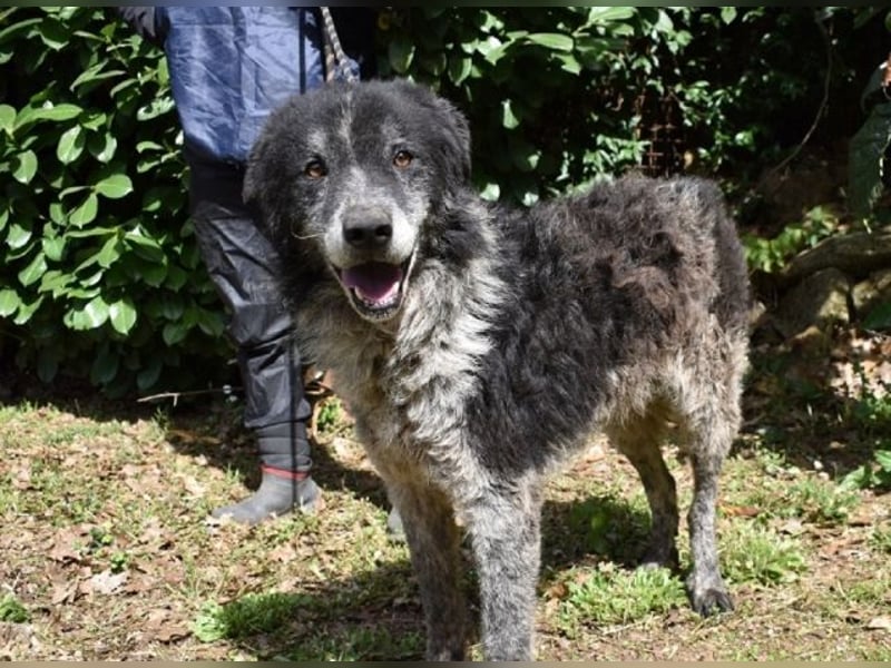 Declan - Irgendwie, irgendwo, irgendwann?