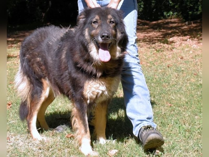 Carolita - und du - ein Dreamteam